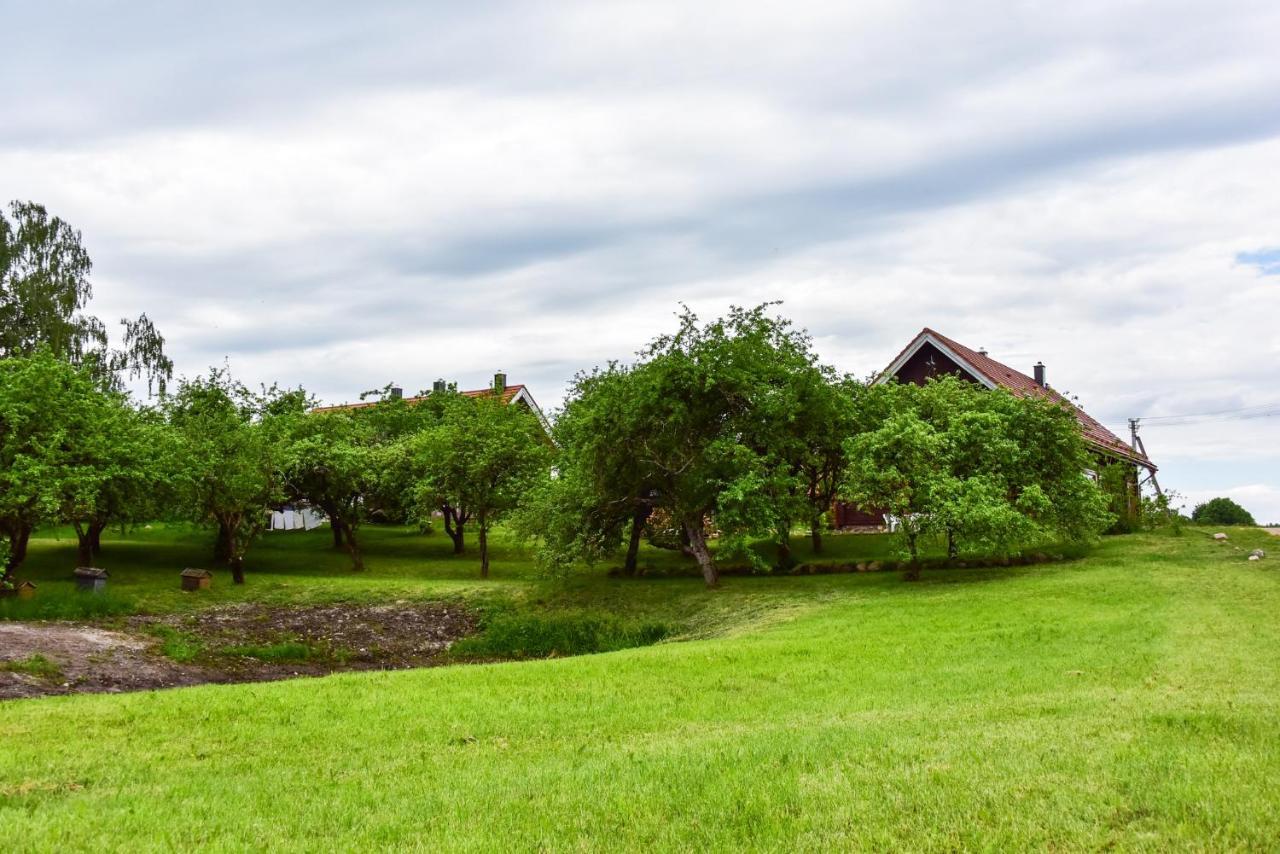 Sunny Beaver B&B Trakai Exterior foto