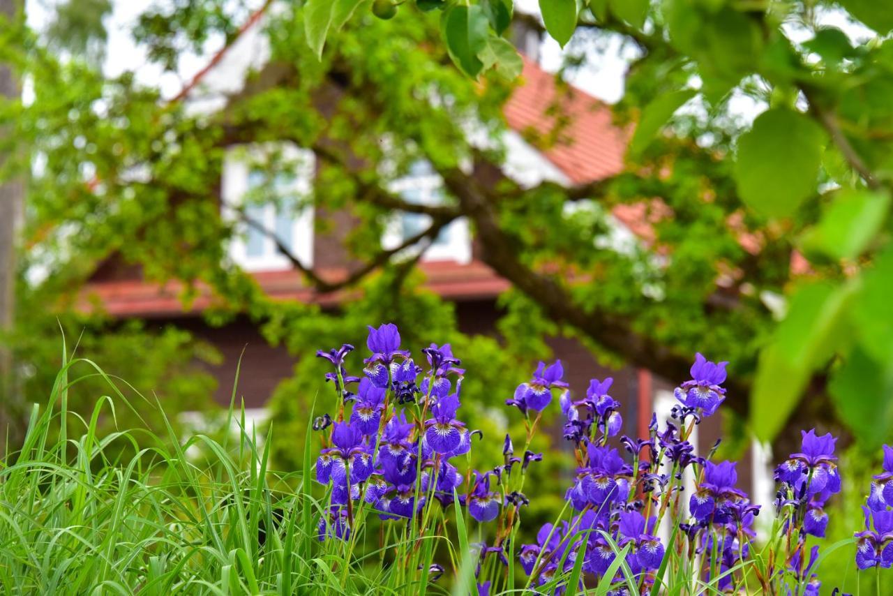 Sunny Beaver B&B Trakai Exterior foto