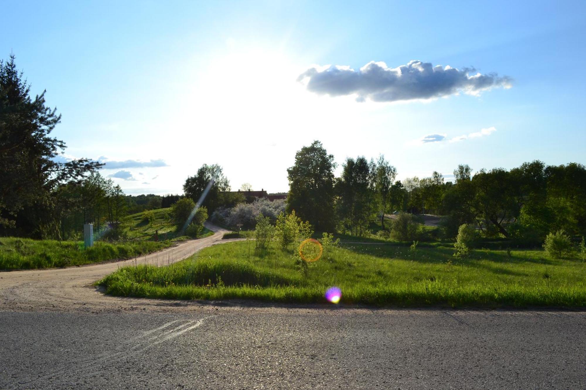 Sunny Beaver B&B Trakai Habitación foto